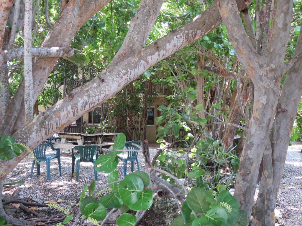 במוטל Ed & Ellen'S Lodgings קי לארגו מראה חיצוני תמונה